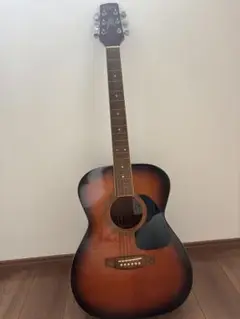 Takamine T-F0ANアコースティックギター CNB製 ギグバッグ 付き Takamine T-F0ANアコースティックギター CNB製 ギグバッグ 付き