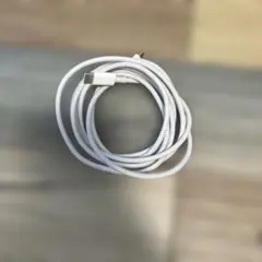 Apple MacBook USB-Cケーブル　純正