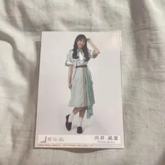 Item thumbnail for item d70436a9-87fe-43ef-b924-96fcdfaaa2df