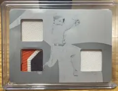 Panini Immaculate JOSE ALTUVE 1枚限定!