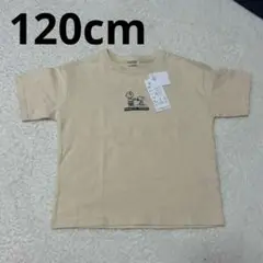 新品未使用 120cm ピーナッツ スヌーピー ベージュ 半袖 Tシャツ