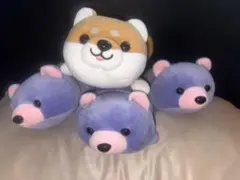 あしかがフラワーパーク ぬいぐるみ 5体セットくじ
