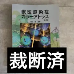 Item thumbnail for item 3ec5bc13-1816-4bd6-b008-79e65345f5ae