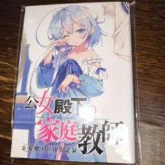 公女殿下の家庭教師（公女殿下の日常記録）