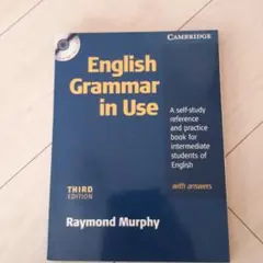 English Grammar in Use 3rd edition