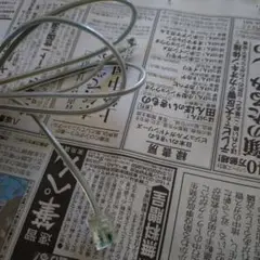 Item thumbnail for item 13a1dee6-0d0b-4e1f-ad69-dbeaf219af56