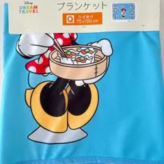 ディズニー ドリームトラベル ひざ掛け ブランケット ミニーマウス 神奈川
