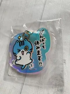 ねこのふうちゃん　アクリルキーホルダー　オーロラ　icrambo アイシー