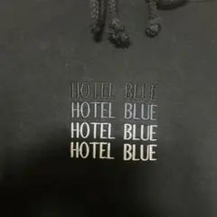 HOTEL BLUE パーカー New York