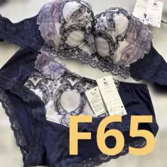 新品 ワコール パーソナルフィットプラスブラ F65×L パルファージュ