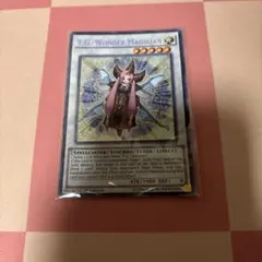 ワンダーマジシャン　英語版　シークレット