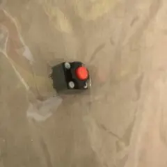 Item thumbnail for item 531f5965-f284-4046-aa12-143998cd6a6e