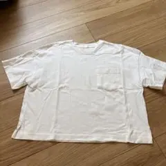 ジーユー さGU Tシャツxlサイズ白