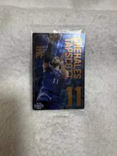 Item thumbnail for item 435aed35-731a-4745-84db-bffbacbc6db0