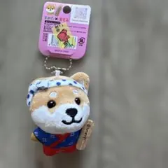 旅するマメしば　群馬限定　草津　湯もみ娘　ボールチェーンマスコット