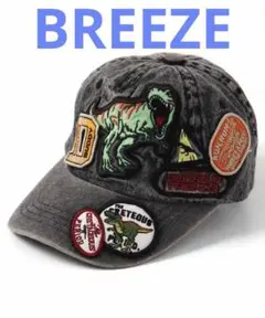 BREEZE ダイナソーキャップ グレー