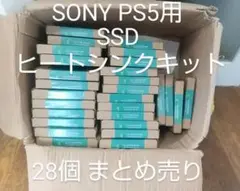 PS5用 SSD ヒートシンク キット 28個セット GLOTRENDS 換装