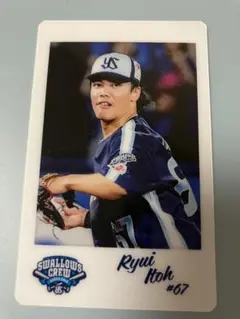 【シークレット】伊藤琉偉選手　ビジュアルチェキ風カード