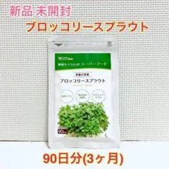 新品 ブロッコリースプラウト 約3ヶ月分 シードコムス