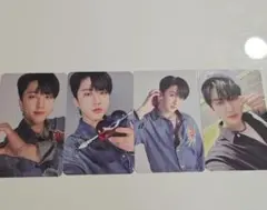 straykids MAXIDENT チャンビン 4枚まとめ売り