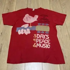 p*8様 90’s ウッドストック タイダイ Tシャツ　キムタク キムタク着 Tシャツ Woodstock ウッドストック 90s USA - メルカリ