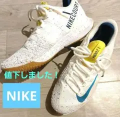 NIKE　ナイキシューズ　テニスシューズ 25cm　インナー付き　男女兼用