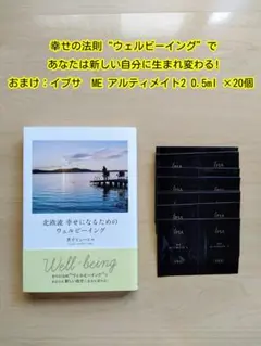 【美品】北欧流 幸せになるためのウェルビーイング