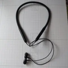 Item thumbnail for item 874ef82f-4f46-4e68-9218-ec000fc65d8a
