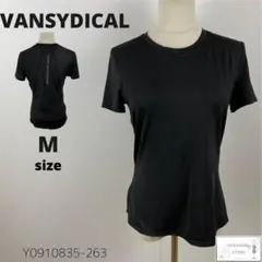 Item thumbnail for item 53c75e70-9eda-4a18-a2c2-be8e0b79032b