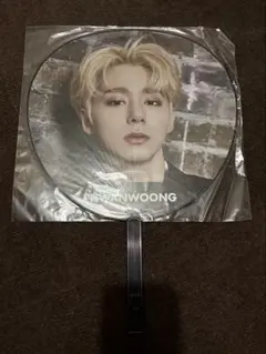 ファヌン oneus うちわ