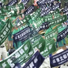 甲子園出場決定おめでとう‼︎市船野球部応援タオルグリーン