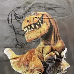 SHOO-LA-RUE 恐竜 Tシャツ 130 ディズニーピクサー　アローと少年