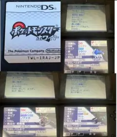 ポケットモンスターホワイト　自己受け取り証明付き　ノブナガレックウザ ポケットモンスター ホワイト 自己産証明画像付き未受け取り