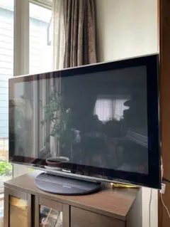 Panasonic プラズマテレビ TH-P50V1