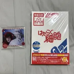 映画 はたらく細胞('24映画「はたらく細胞」製作委員会)〈完全生産限定版〉