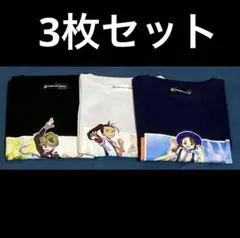 未使用 ポケモン Tシャツ コレクション パルデア ネモ アオイ コルサ