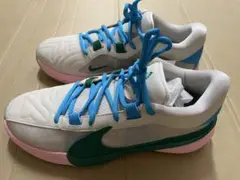 NIKE ZOOM FREAK 5 EP 27cm ズームフリーク5