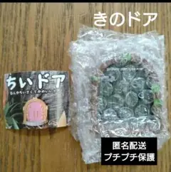 ちいドア　なんかちいさくてかわいいドア　きのドア