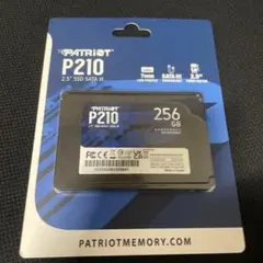 Patriot P210 256GB SATA SSD