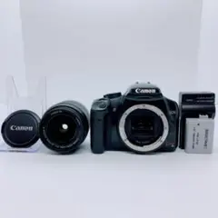 Item thumbnail for item 613f284b-efd3-4f65-bdd5-dd5dab44e979