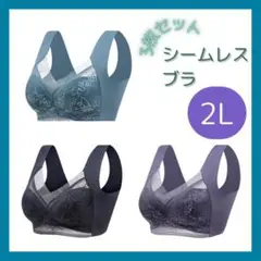 【2L】3枚セット シームレスブラ ノンワイヤー 大きいサイズ ナイトブラ