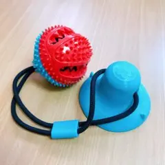 Item thumbnail for item a18e6784-d922-4621-bae0-96a964d1b9d4