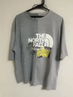 THE NORTH FACE 半分デザイン Tシャツ
