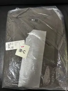 Item thumbnail for item 2f5157a8-7a71-46e6-8ba2-6fc2b630462c