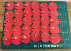 【片面目玉付】金魚30匹セット