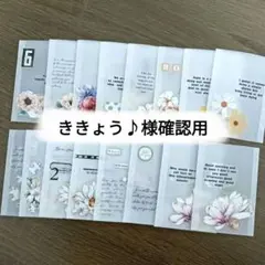 Ｔ46 トレペ封筒 おすそ分けファイルに
