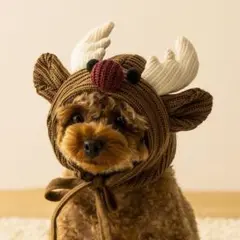 Item thumbnail for item b1c08212-df2b-463d-8922-78cfb027cf97