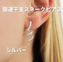 【もってけ泥棒！売り切り最終価格】スネークピアス クルクル シルバー ヘビ 蛇