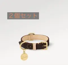 Item thumbnail for item 00886289-de78-4862-9647-20b86882b971