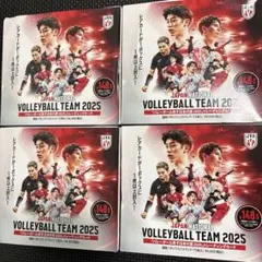 JAPAN NATIONAL VOLLEYBALL TEAM 2025